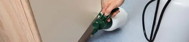 Bed bug exterminator treating baseboards and cracks with targeted spray in Henderson, NV