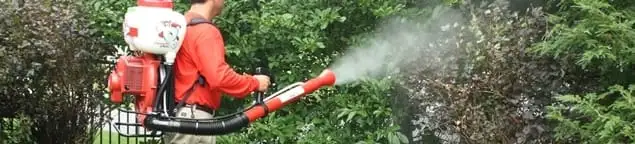 Mosquito control technician fogging shrubs and landscaping for mosquito treatment in Henderson, NV