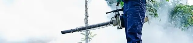 Pest control technician fogging an outdoor area for insect control in Henderson, NV
