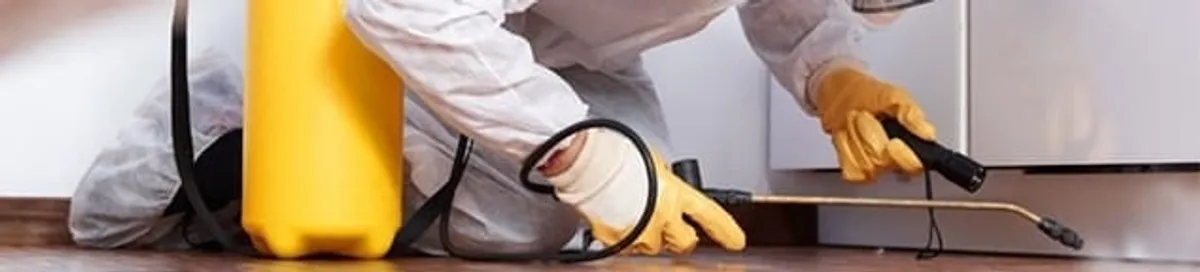 Roach exterminator treating cracks and crevices along kitchen baseboards in Henderson, NV
