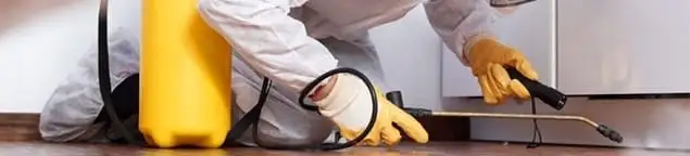 Roach exterminator treating cracks and crevices along kitchen baseboards in Henderson, NV