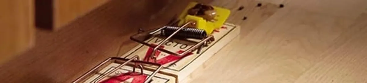 Rodent trap set indoors for rodent control and prevention in Henderson, NV
