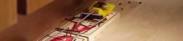 Rodent trap set indoors for rodent control and prevention in Henderson, NV